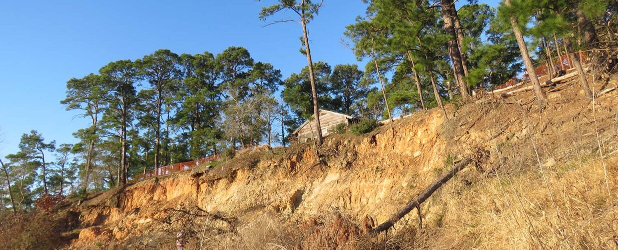 Environmental team on field to restore Bastrop State Park